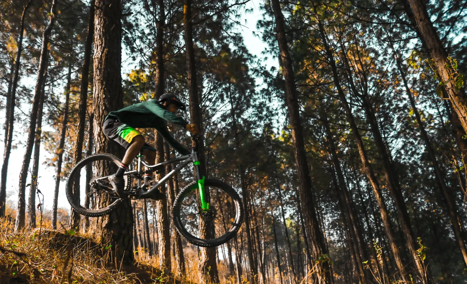 Mountain biker jumping along a forest trail