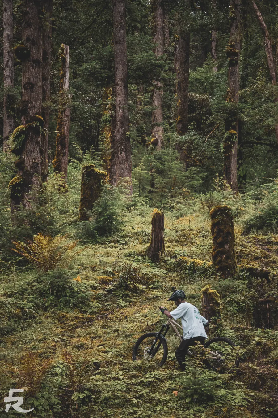 A rider walking a mountain bike through a forest