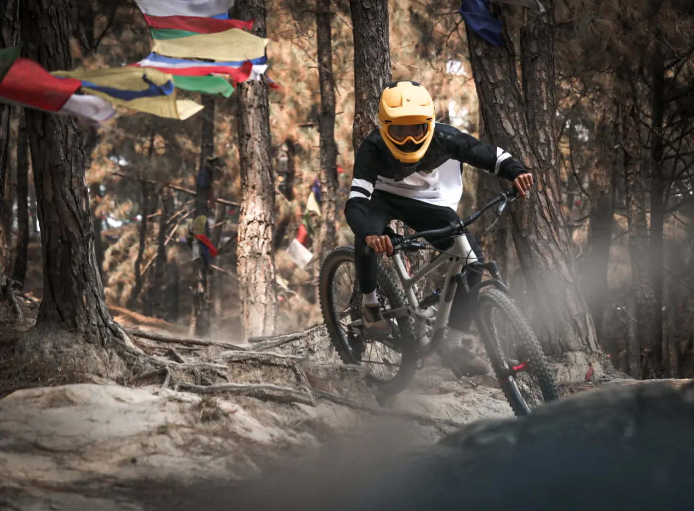 Mountain biker riding through a wooded trail